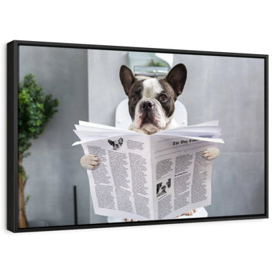 Khendal Bulldog Reading A Newspaper Canvas Print