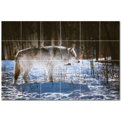 Murale en céramique satinée photo loup 4,25 "x 4,25" Wolf