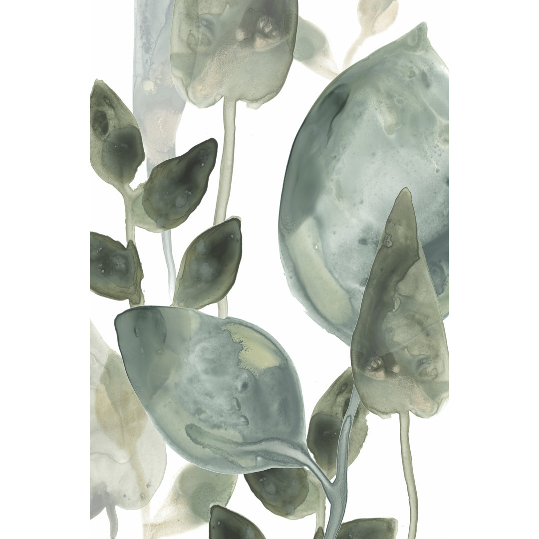 Leinwandbild Water Leaves II von June Erica Vess