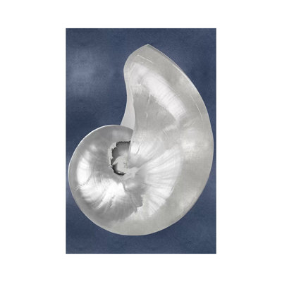 Silver Shell On Indigo Blue I by Caroline Kelly - Wrapped Canvas Print