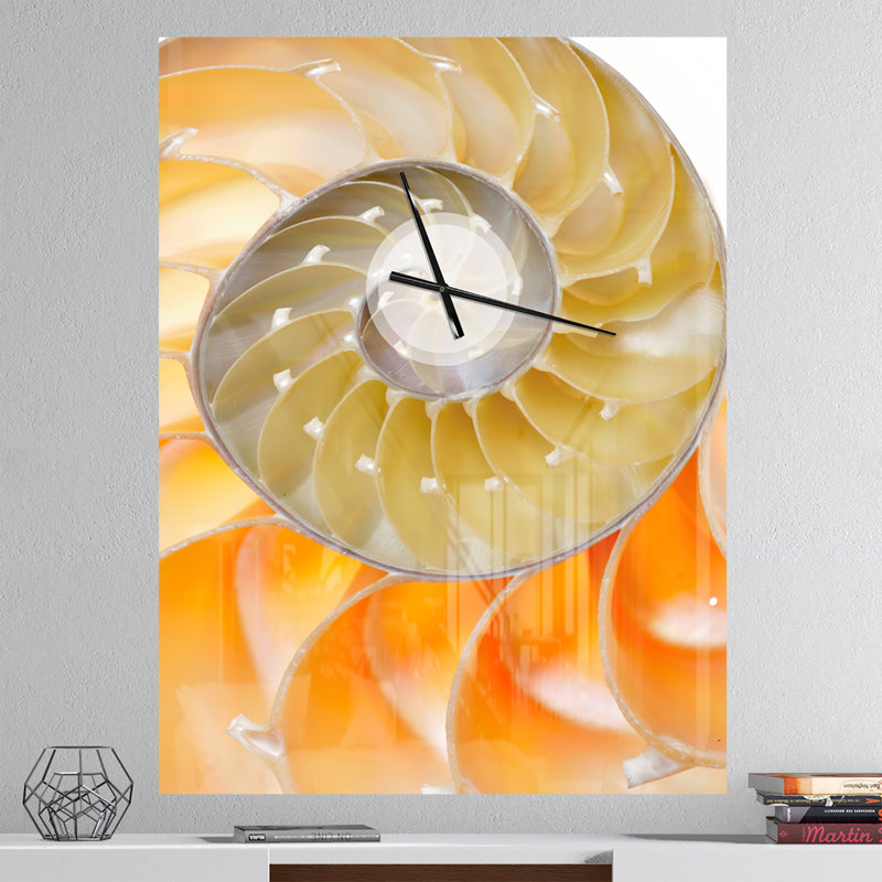 Horloge murale surdimensionnée nautilus isolée, Très grand