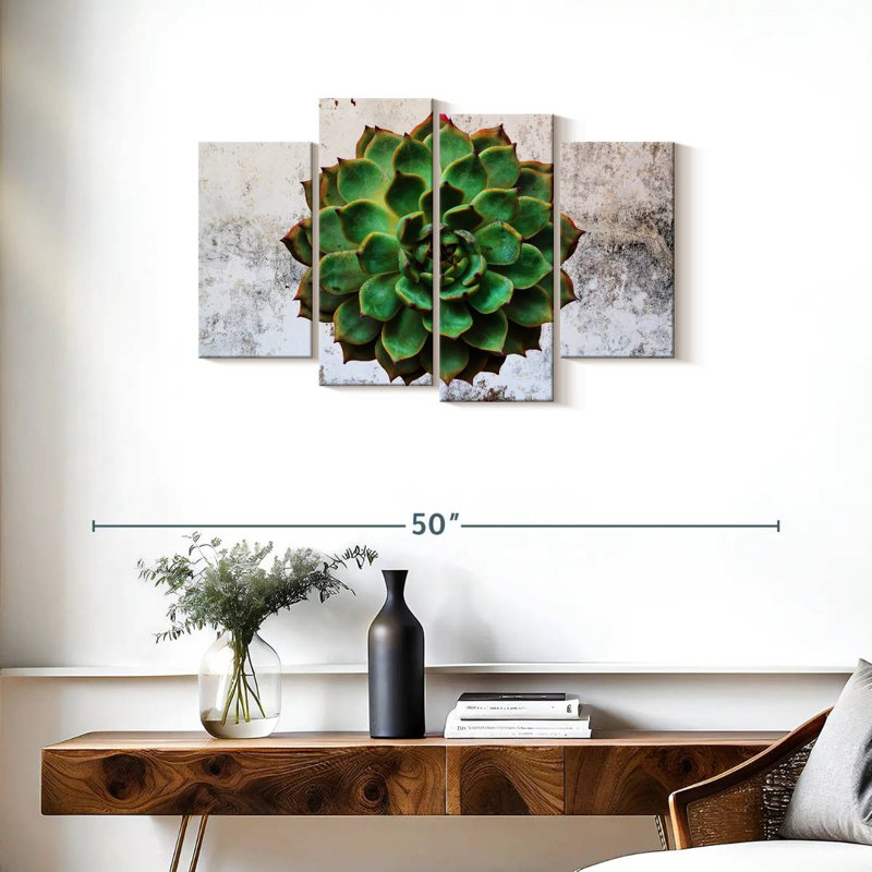 Plante grasse Harnek, H 22 po x l 36 po