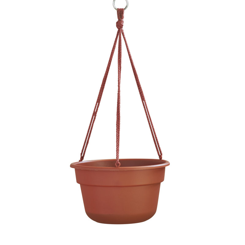  Panier en résine terre cuite H 6,8 po x l 12,5 po x P 12,4 po Dura Cotta, H 6,75 po x l 12,5 po x P 12,5 po, Terra Cotta