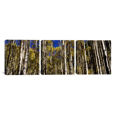 «Aspen Trees in Autumn Colorado, USA», ensemble de 3 reproductions de photos sur toiles tendues