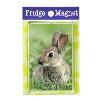 Fridge Magnet