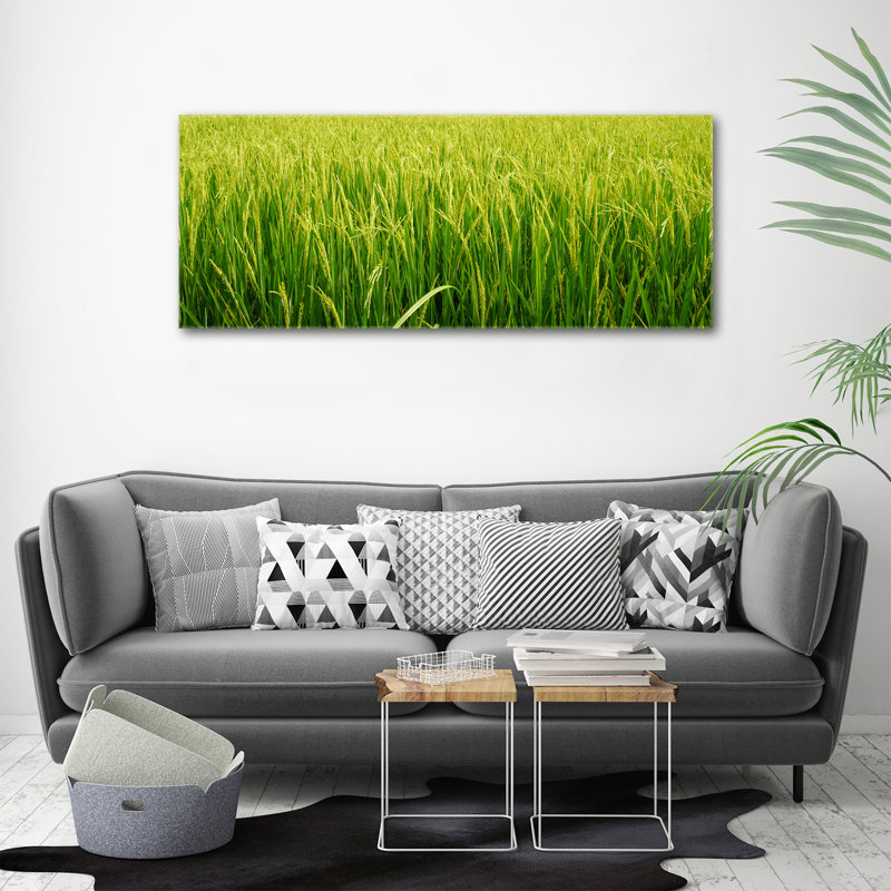 Rice Field - Wrapped Canvas Print, Canvas, 50cm H x 125cm W