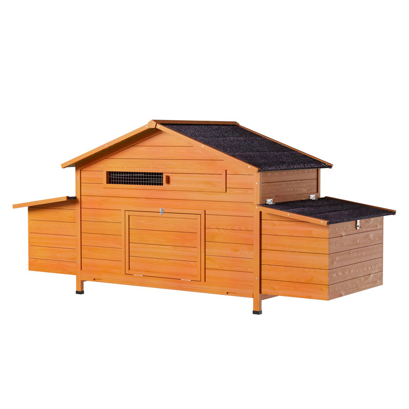 Outdoor Large Chicken Coop