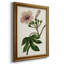 Mauve Botanicals I - impression-517422340