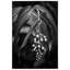 Rain Forest Lily - Picture Frame Photograph on Paper-74856294-87888865
