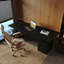 Bureau debout moderne et simple à deux moteurs, disponible en finition chêne fumé et chêne foncé-619768835-619768861