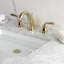 Widespread Bathroom Faucet with Drain Assembly