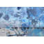 Parvez Taj - Wrapped Canvas Print-16671840