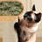 Siegfried Multi-Level Cat Tree-1738753541