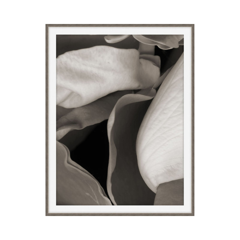 Be Mine 2 Print by Kate Blacklock, 21.25" H x 16.25" W