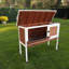 Lovisa Weather Resistant Rabbit Hutch