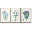 Antique Coastal Coral X, impression sur toile 3 pièces-91887657-91887659