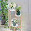 Trond Solid Wood Plant Stand 3 Tier