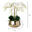 Orchid Floral Arrangements in Planter