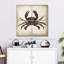 Crabe Brampt II-109121319