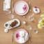 Dinner Plate Rose Garden
