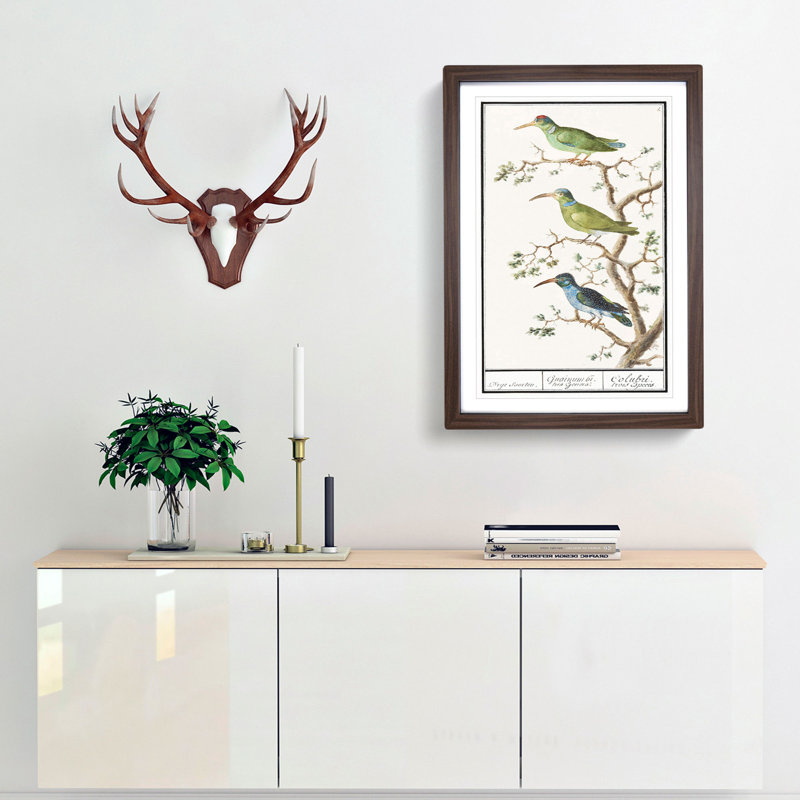 Three Hummingbirds by A.B. de Boodt - Picture Frame Painting Print, 48cm H x 36cm W x 2cm D, Walnut Framed