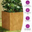 Hesston Planter Corten Steel-1865469035