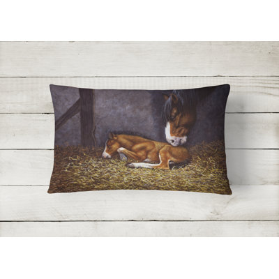 Outdoor Throw Pillow