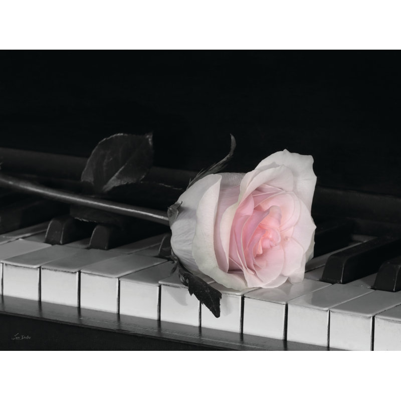 «Life Is A Song On Canvas» par Lori Deiter, reproduction, H 8 po x l 12 po x P 1,25 po