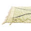Tapis vert Parra