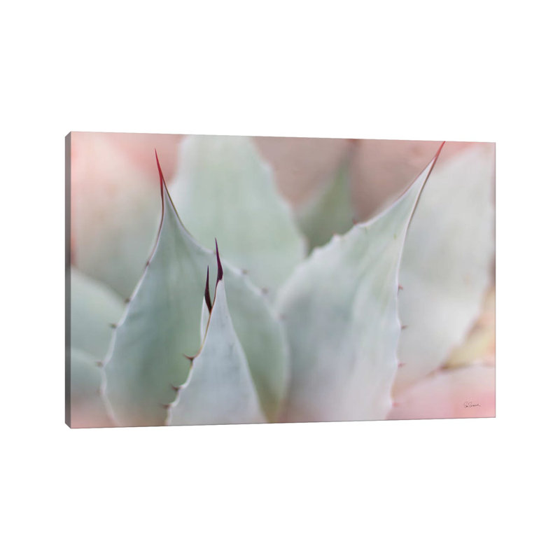 Dream Desert VI by Sue Schlabach - Wrapped Canvas Print, 66.04 cm H x 45.72 cm W x 1.91 cm D