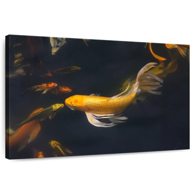 Crowle Lucky Golden Koi