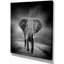 «African Elephant in Dark Artwork», reproduction d'impression sur toile tendue-29496720