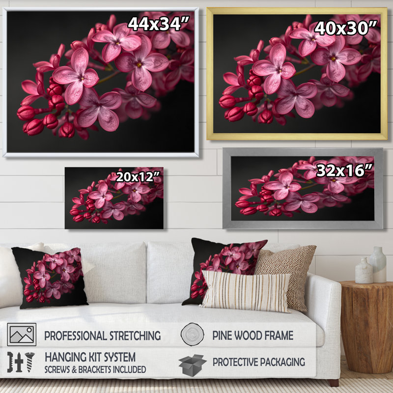 Noir et rose, photo de beauté lilas romantique II - lilas, art mural, Toile tendue, H 34 po x l 44 po