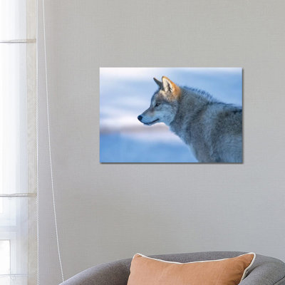A Vigilant Wolf 1 Piece Wrapped Canvas Wall Art