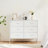 Metal 6 - Drawer Dresser-201017171