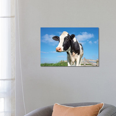 Cute Cow by Clara Bastian - Wrapped Canvas Print