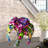 Elephant African Wall Clock