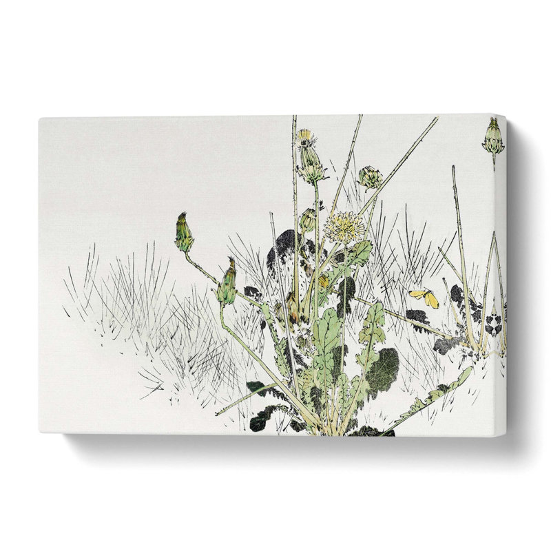 Wild Dandelions - Wrapped Canvas Painting, 40 cm H x 60 cm W