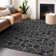 Premium Machine Washable Prisco Black Rug