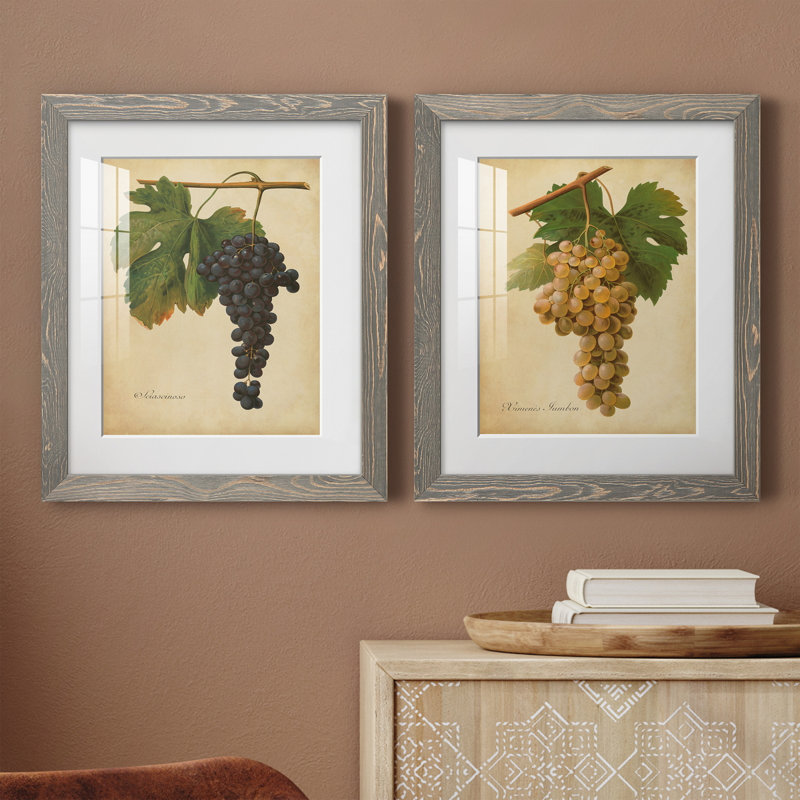 «Vintage Vines», reproduction encadrée prête à accrocher, H 20 po x l 17 po x P 1 po, Papier encadré blanc, Blanc