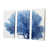 Toile tendue