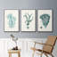 Ensemble de 3 pièces encadrées sur toile Antique Coastal Coral X-97760430-97760425