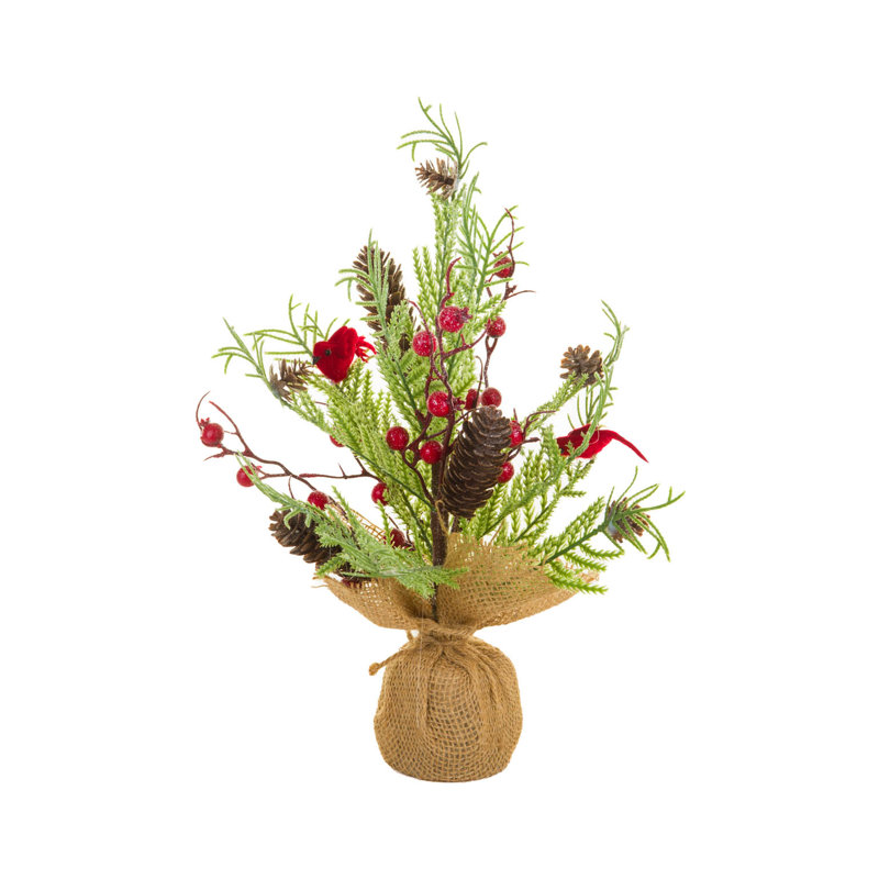 14 plantes