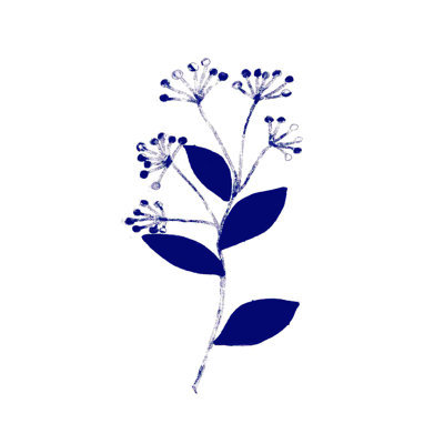 Fleur bleue peinte 2