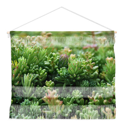 Suspension murale succulent jungle par lisa argyropoulos