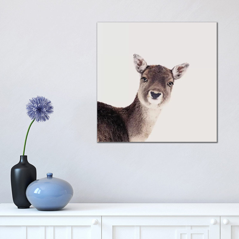 Deer Peekaboo Rose Square by Monika Strigel - Wrapped Canvas Print, 45.72 cm H x 45.72 cm W x 3.175 cm D
