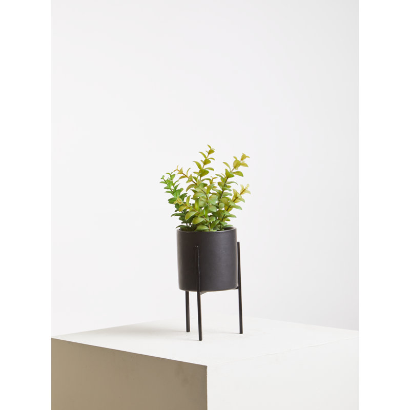 30cm Faux Herbs Plant in Stone Pot