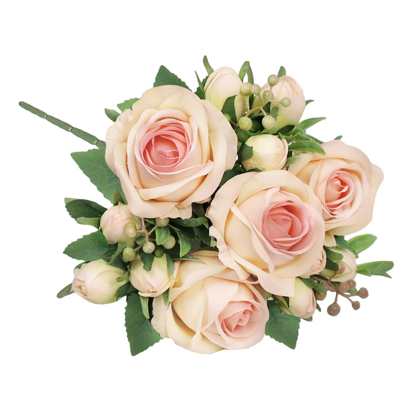 Doux jet de rose délicat, Ivoire rose