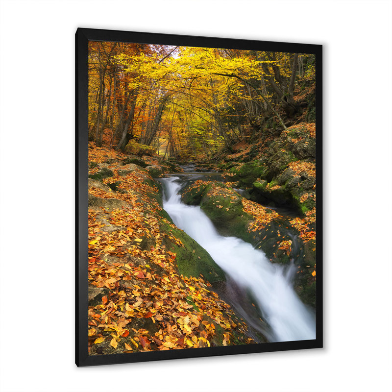 «Waterfall In Autumn Canyon», œuvre d'art traditionnelle sur toile, Cadre photo noir, H 20 po x l 12 po x P 1 po