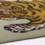 Saber Machine Woven Wool Area Rug in Sage/Khaki